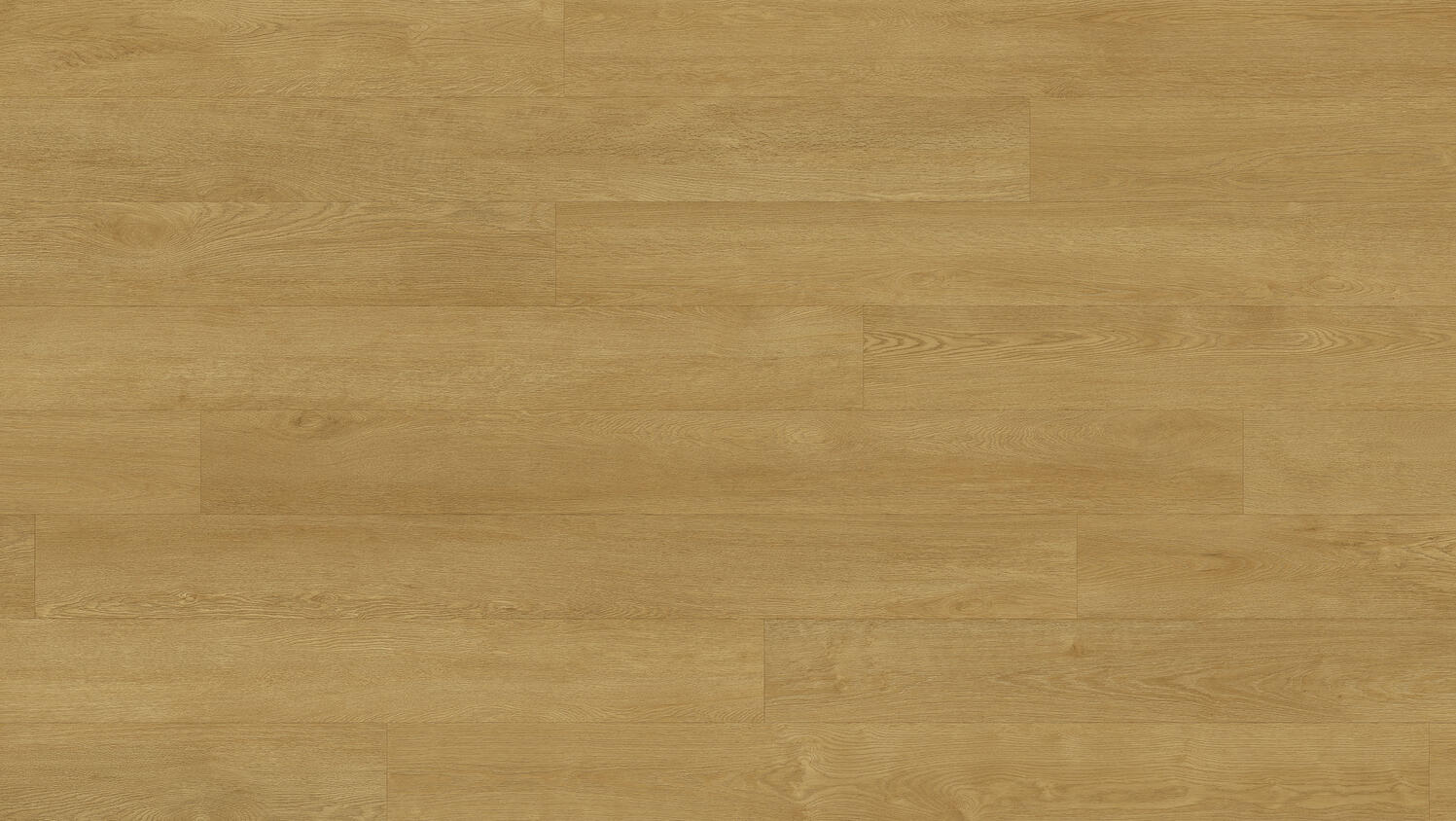 Tapiflex Excellence (19dB) - XXL Oak GOLDEN